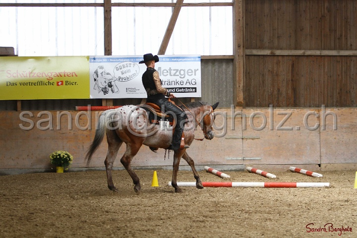 28-ApHC OT_211.jpg
